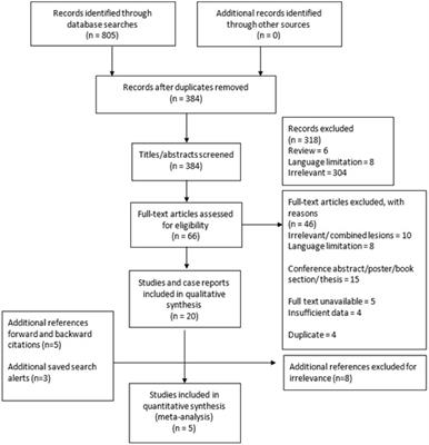 Chronic histiocytic intervillositis (CHI): current treatments and perinatal outcomes, a systematic review and a meta-analysis